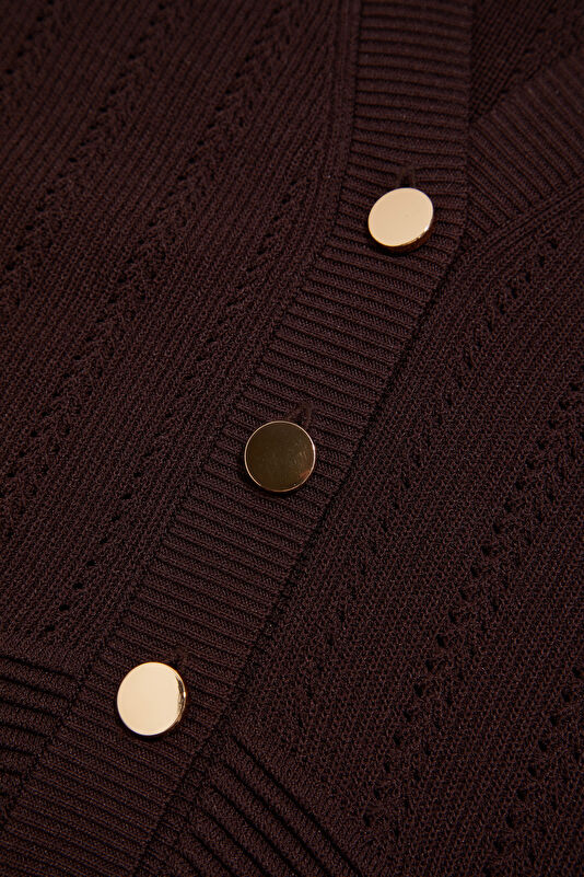 WCollection4 WCollection4