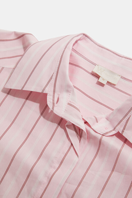 WCollection3 WCollection3