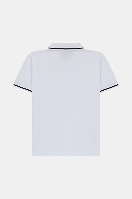 WCollection2