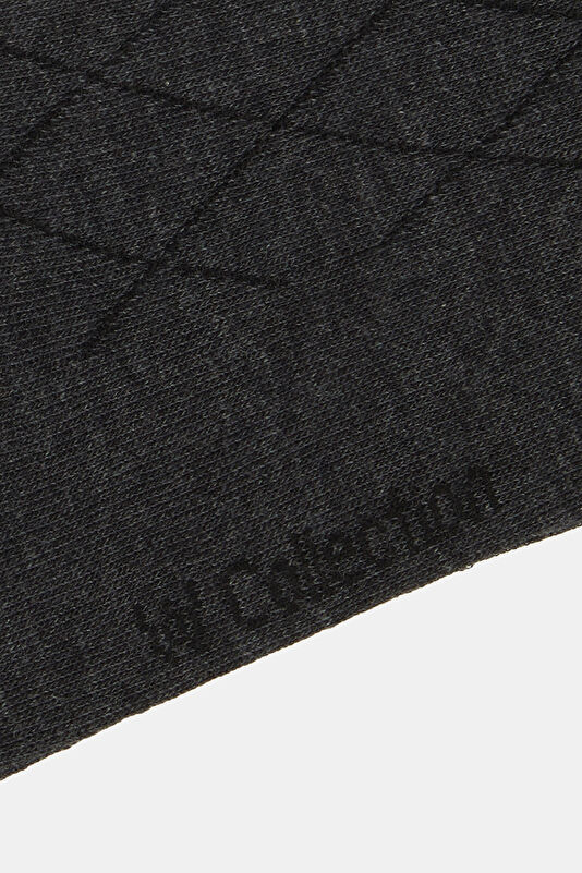 WCollection2 WCollection2