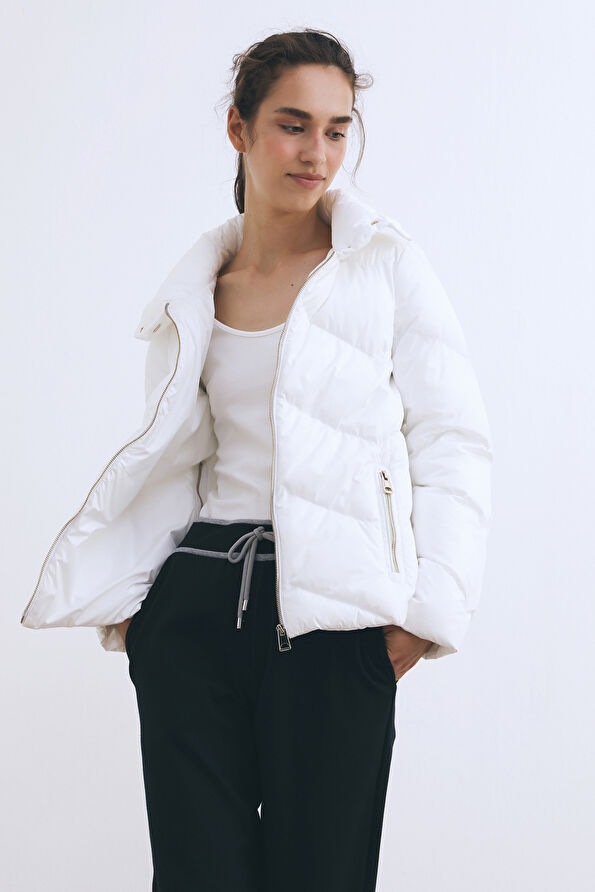 WCollection1