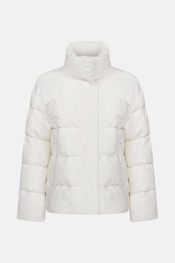 WCollection1 WCollection1