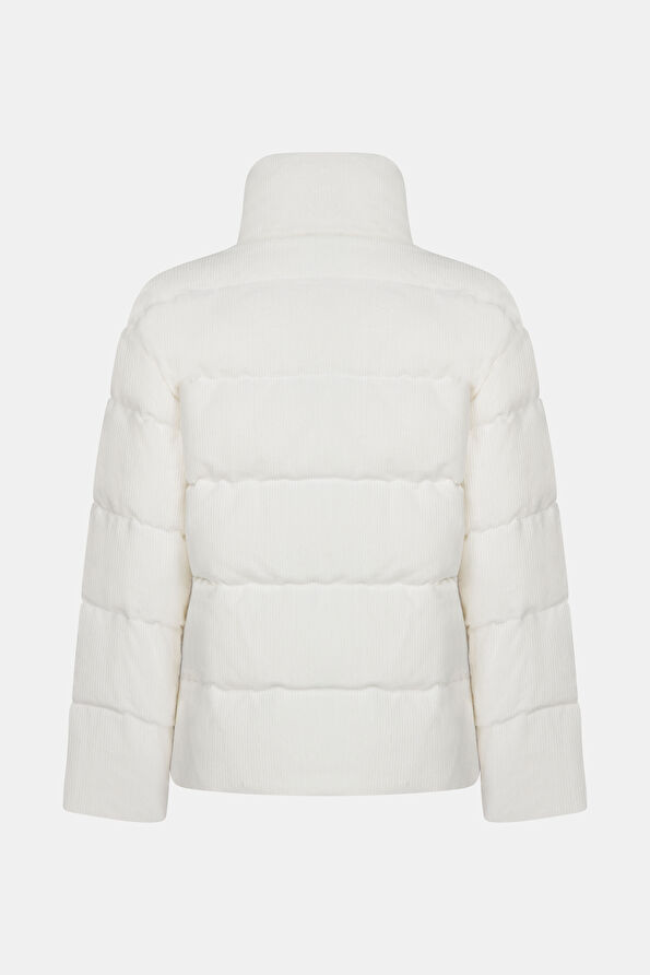 WCollection2 WCollection2