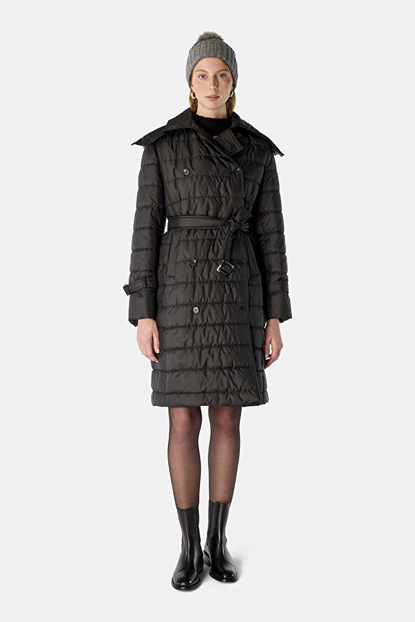 WCollection1
