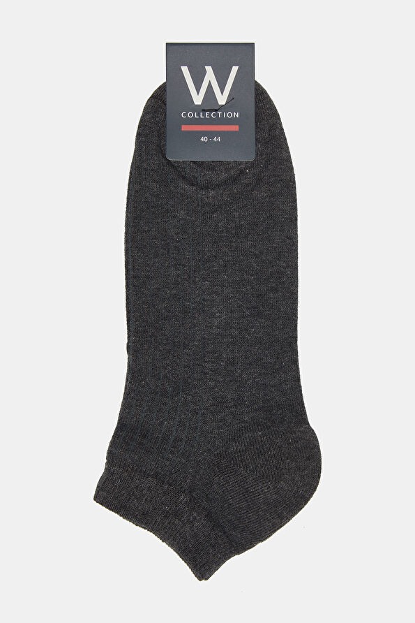 WCollection1 WCollection1