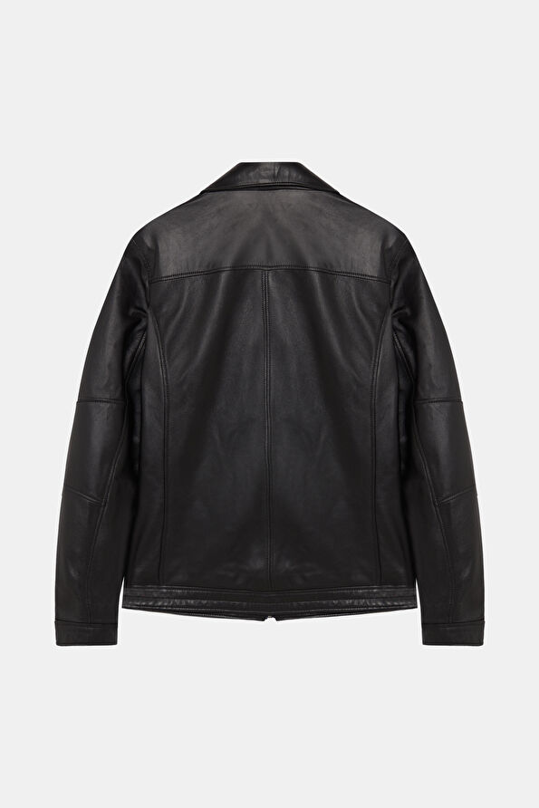 WCollection2 WCollection2