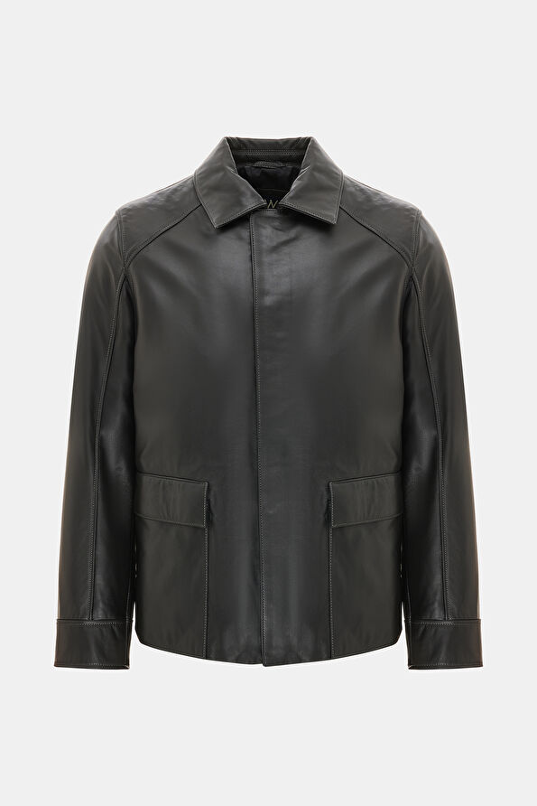 WCollection1 WCollection1