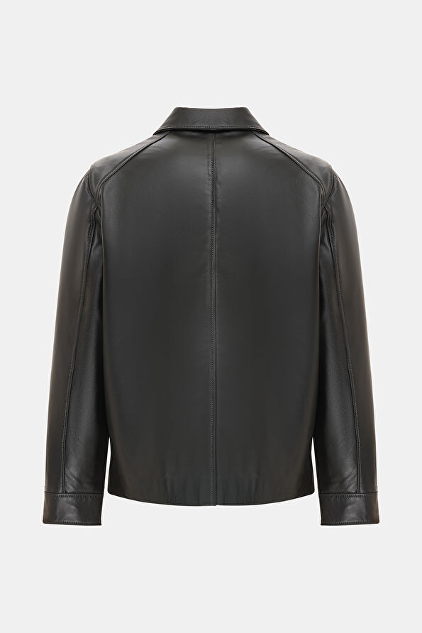 WCollection2 WCollection2