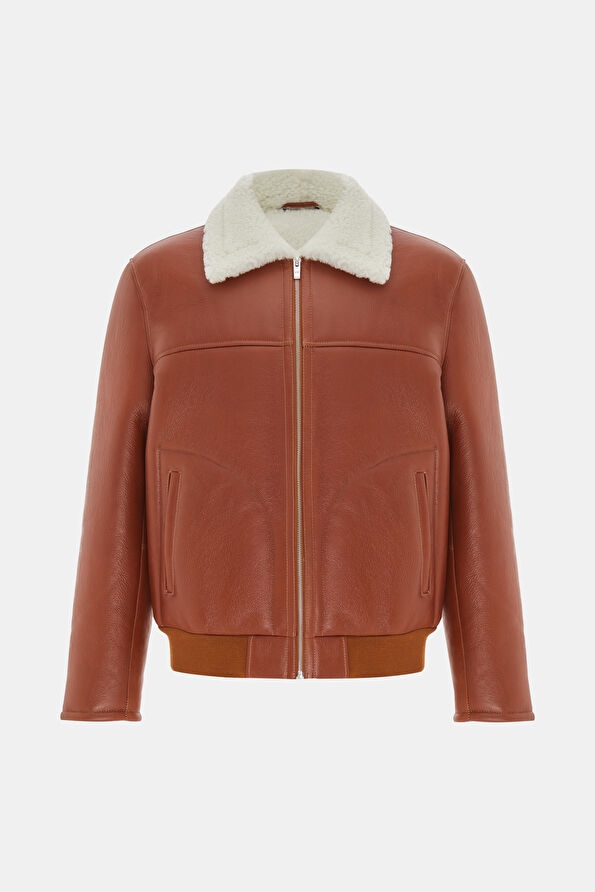 WCollection1