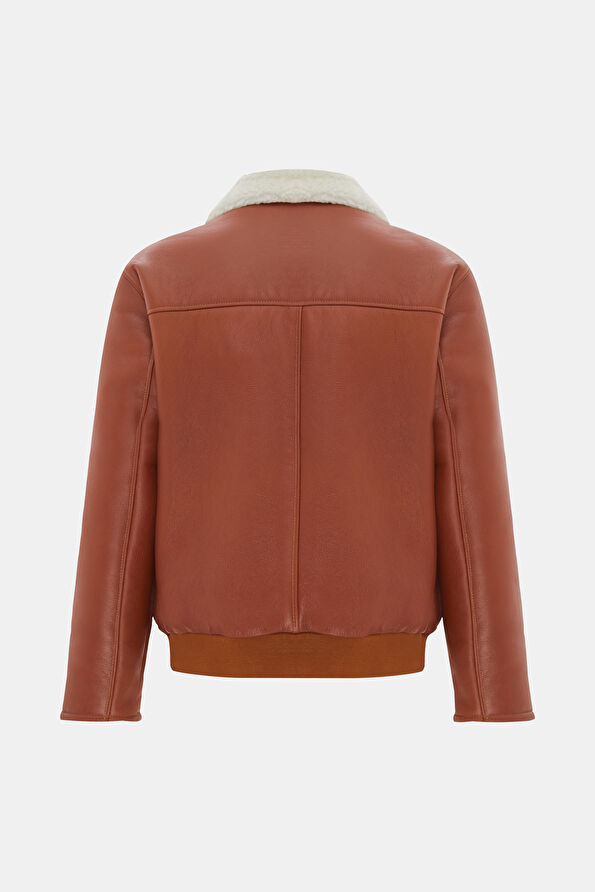 WCollection2 WCollection2