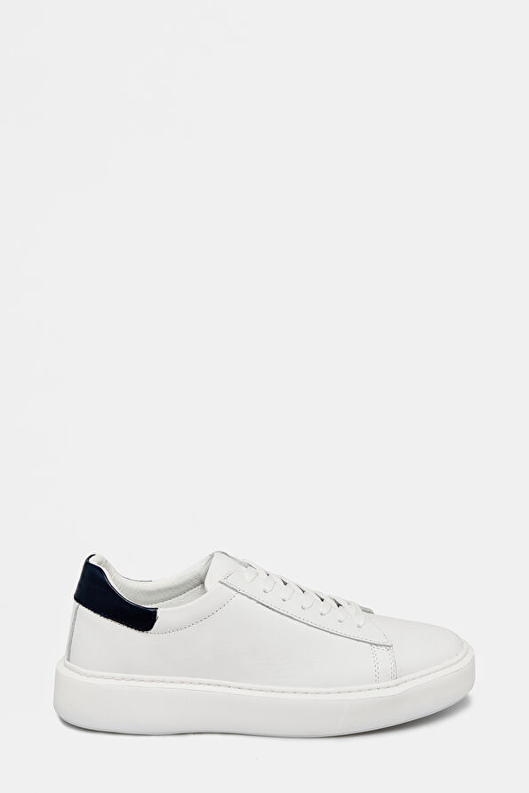 WCollection1