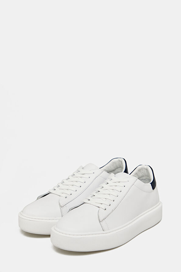 WCollection2 WCollection2