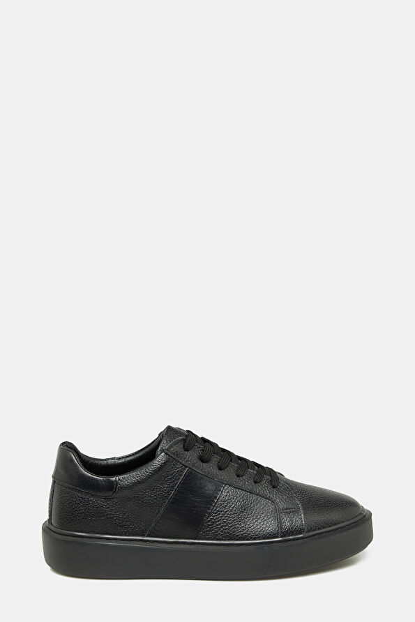 WCollection1