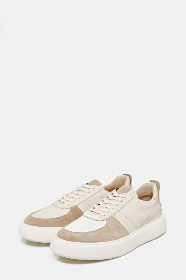 WCollection2 WCollection2