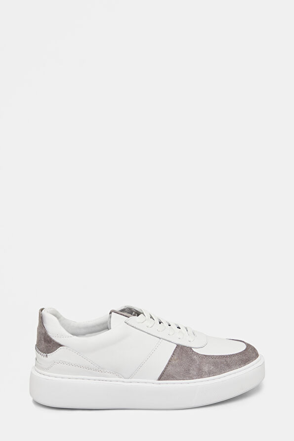 WCollection1 WCollection1