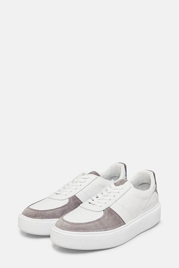 WCollection2 WCollection2