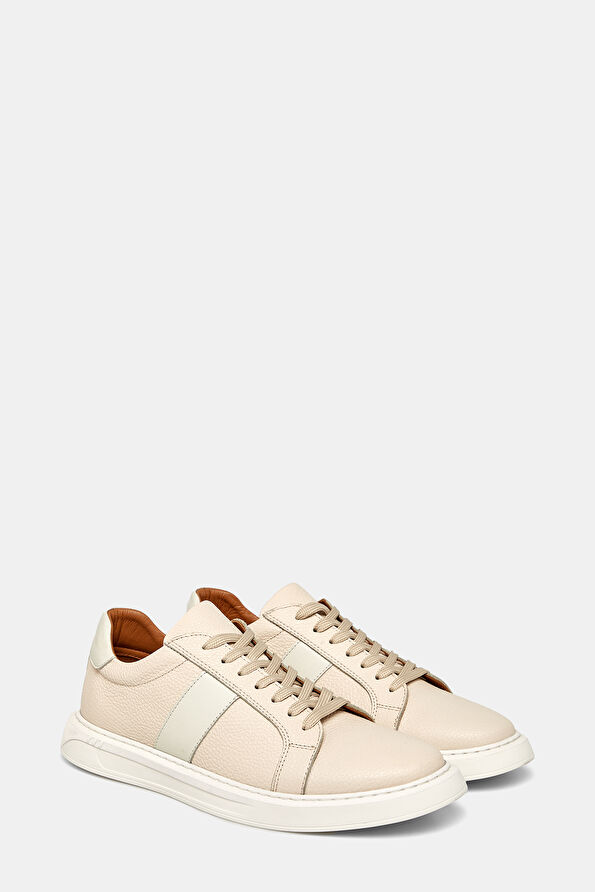 WCollection2 WCollection2