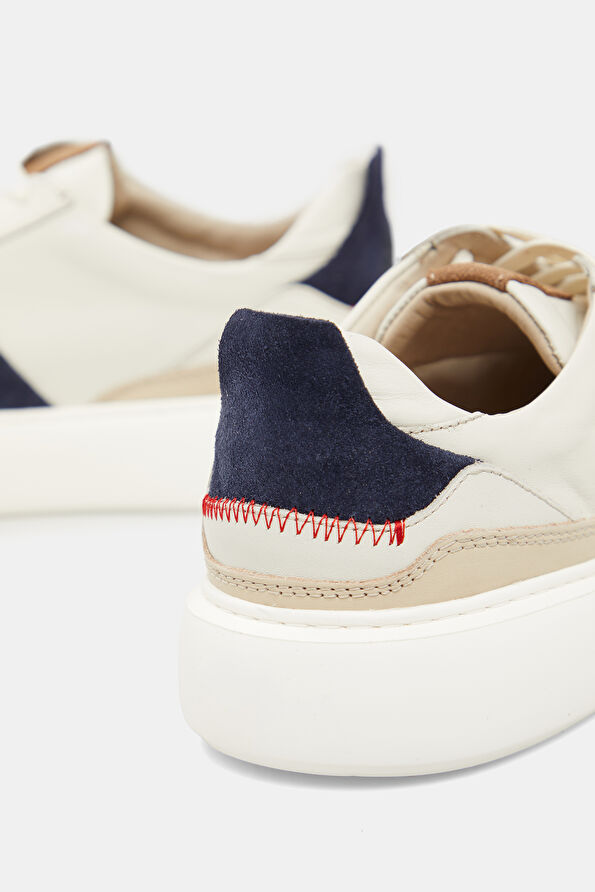 WCollection2 WCollection2