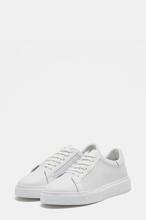 WCollection2 WCollection2