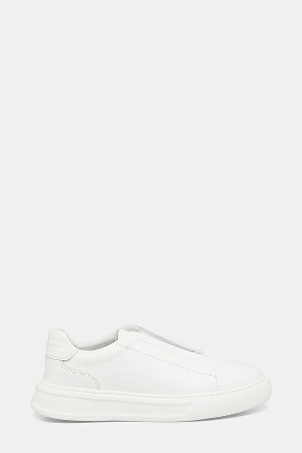 WCollection1 WCollection1