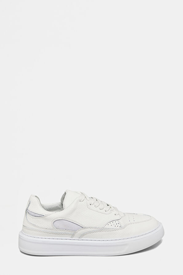 WCollection1 WCollection1