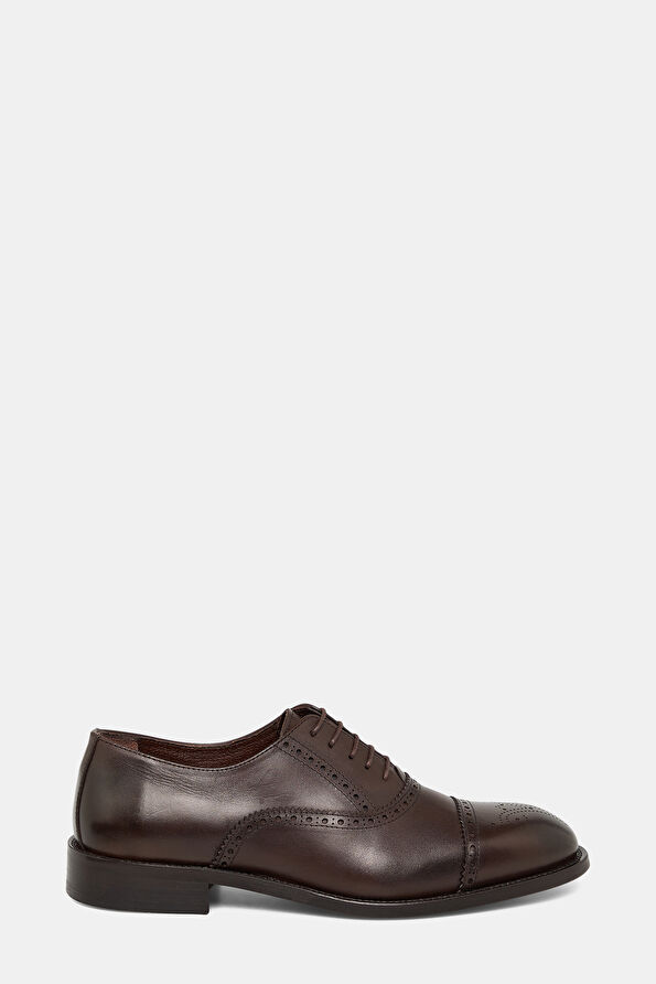WCollection1