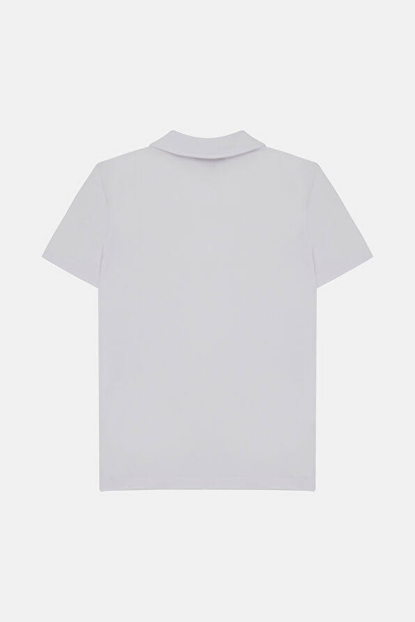 WCollection2
