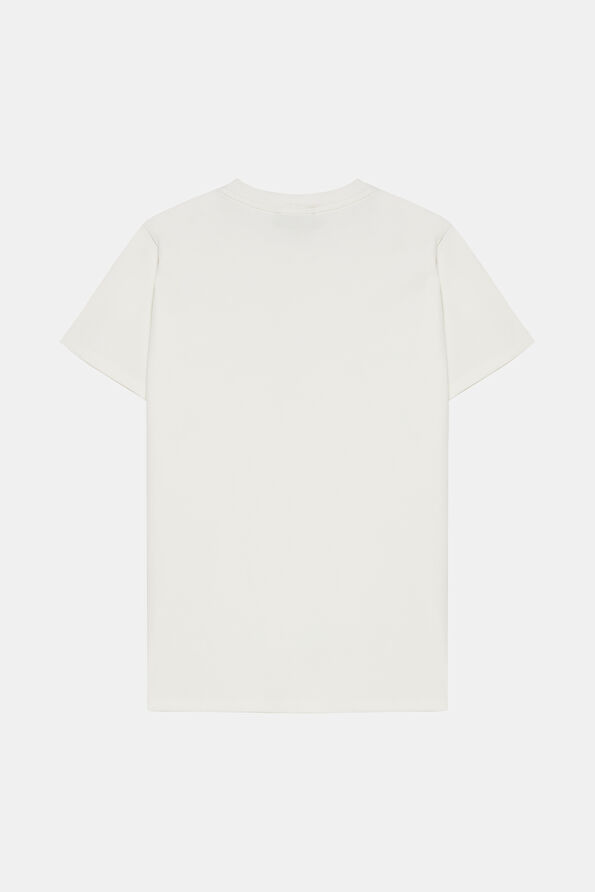 WCollection2