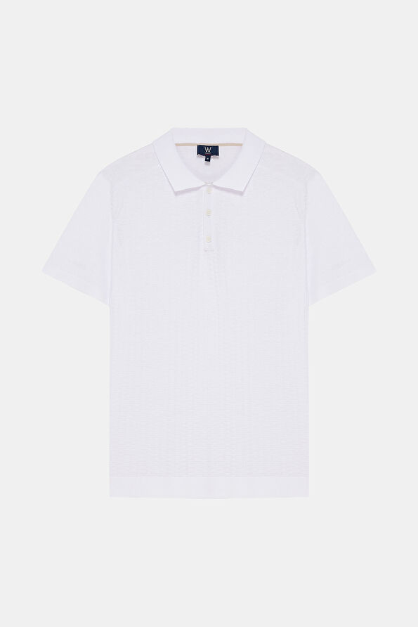 WCollection1 WCollection1