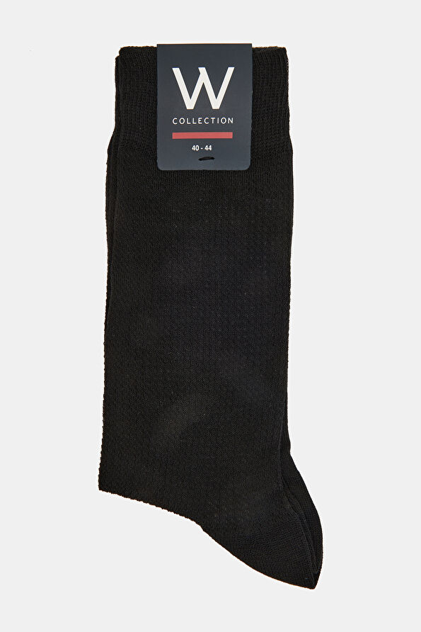 WCollection1 WCollection1