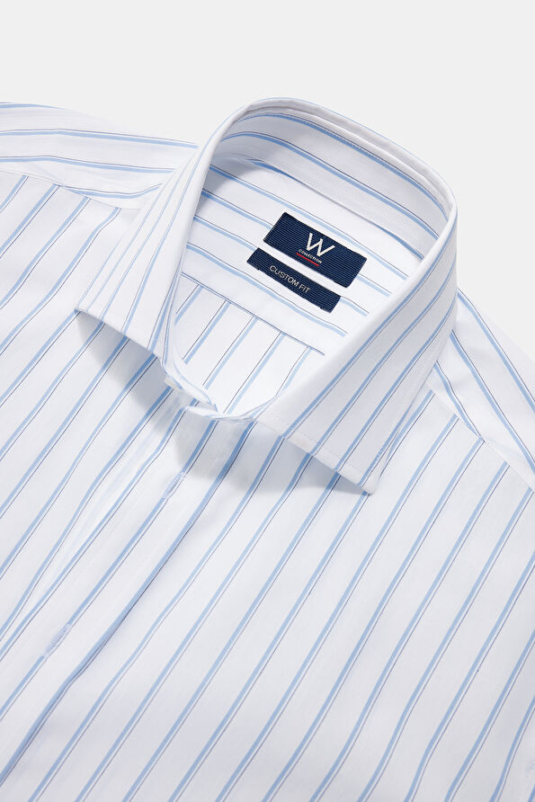 WCollection1 WCollection1