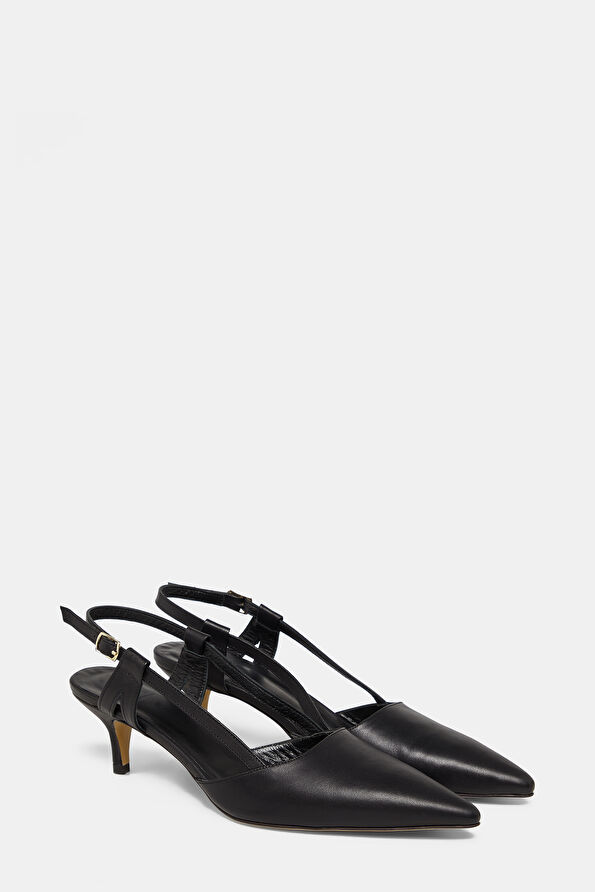 WCollection2 WCollection2