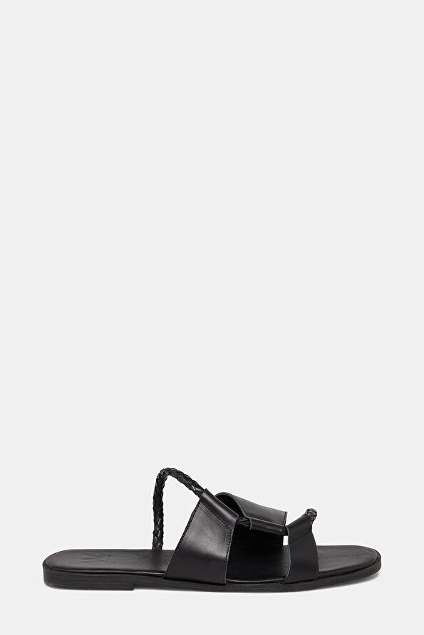 WCollection1 WCollection1