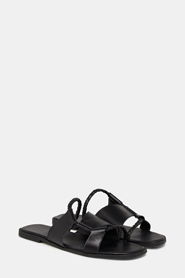 WCollection2 WCollection2