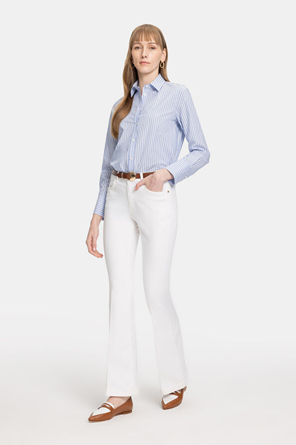 WCollection1