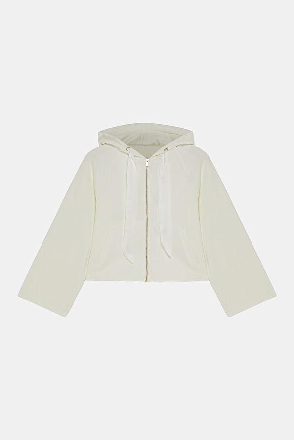 WCollection1 WCollection1