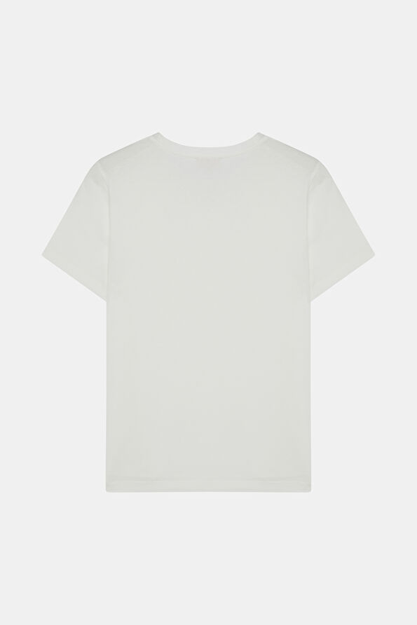 WCollection2
