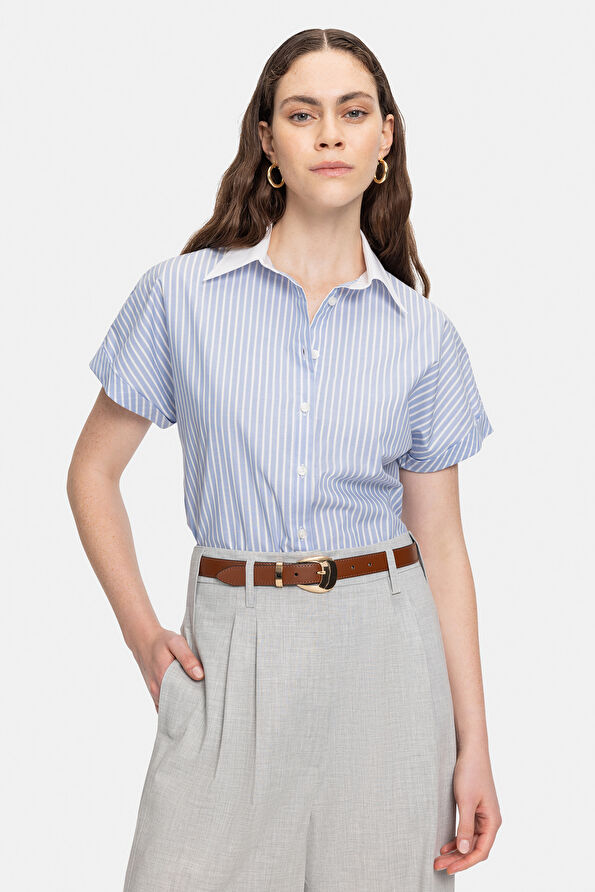 WCollection1