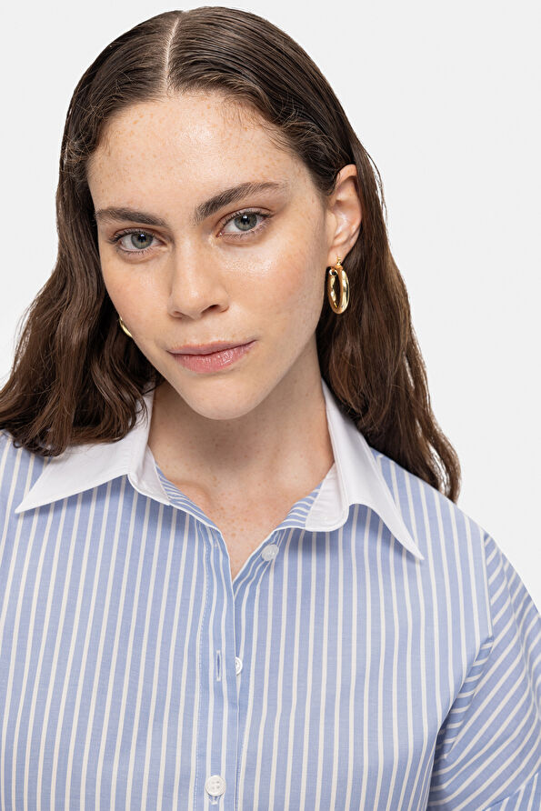 WCollection2 WCollection2