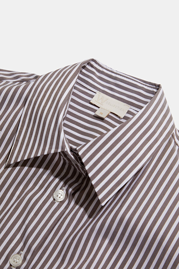 WCollection1 WCollection1