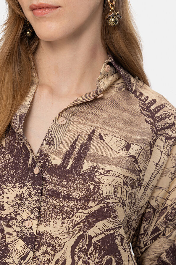 WCollection2 WCollection2