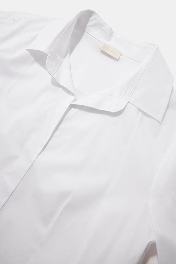 WCollection1 WCollection1