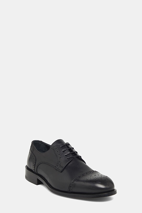 WCollection2 WCollection2