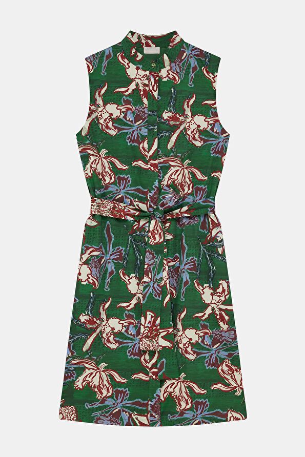 WCollection1 WCollection1