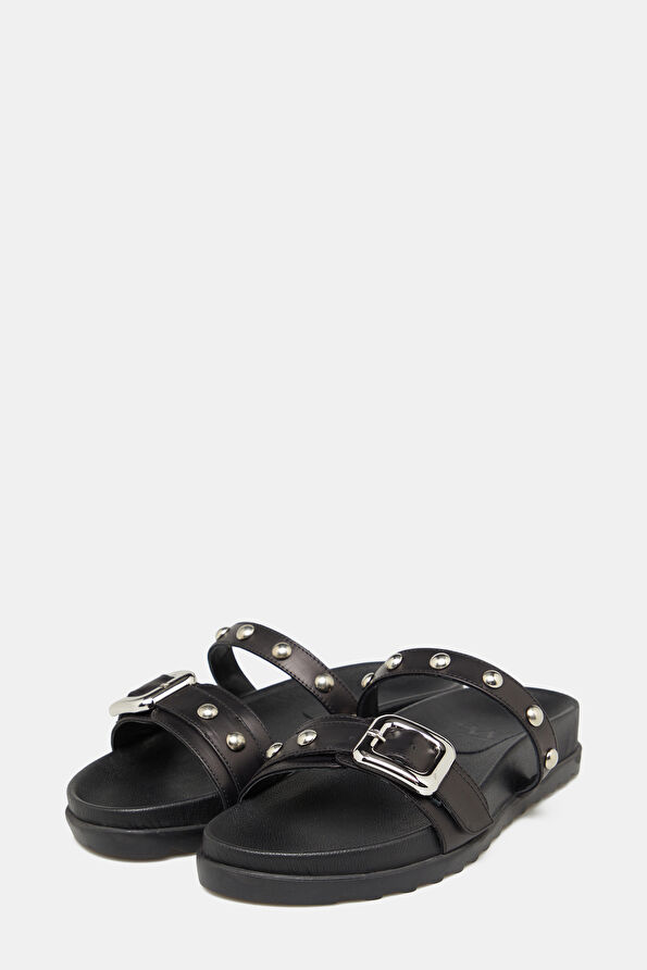 WCollection2 WCollection2