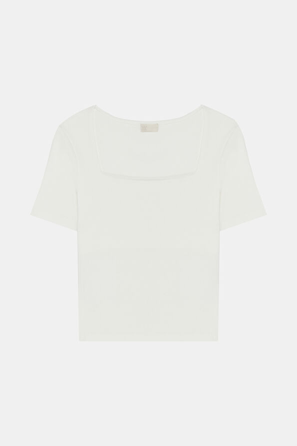 WCollection1 WCollection1