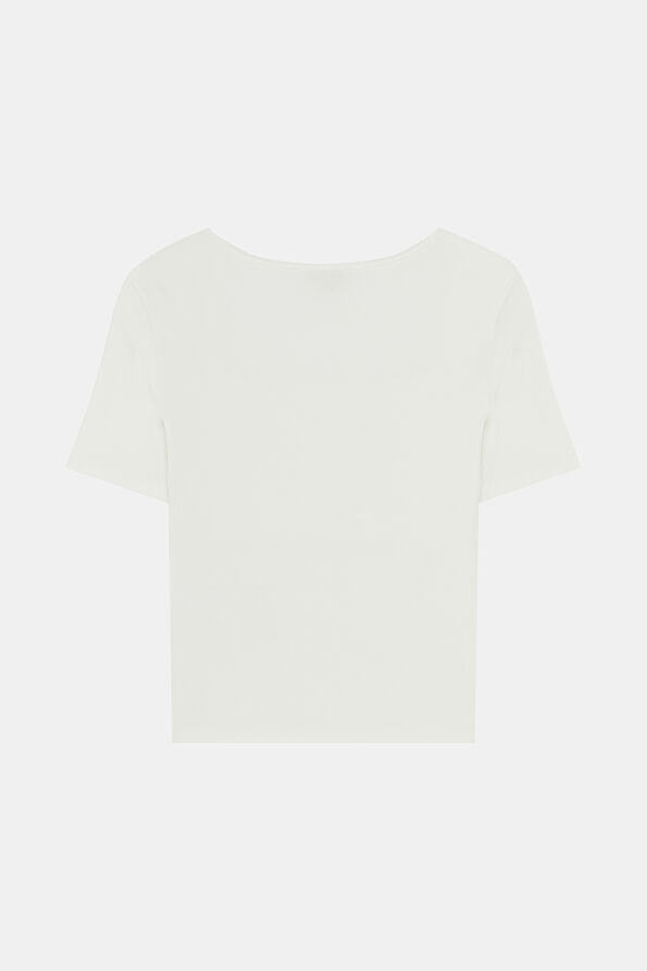 WCollection2