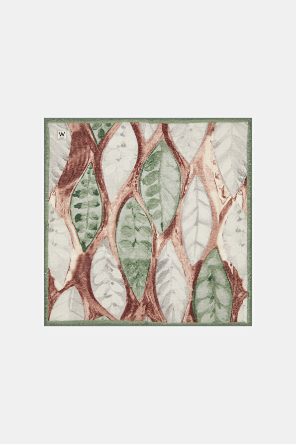 WCollection1 WCollection1