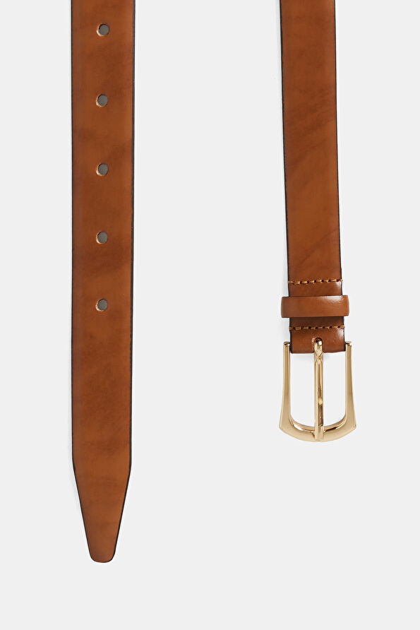 WCollection2 WCollection2