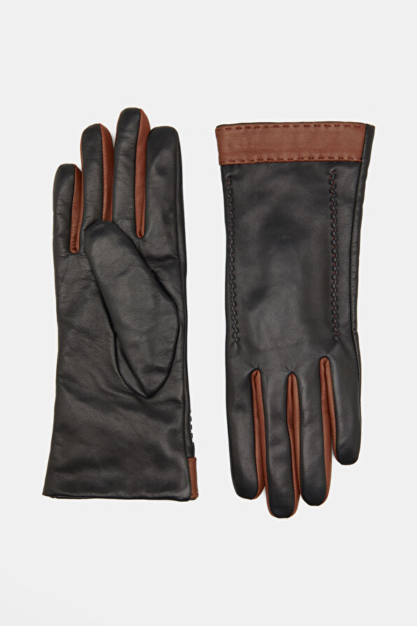 WCollection1 WCollection1